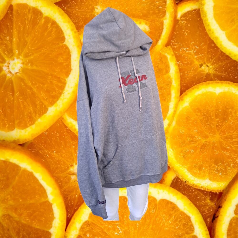 Jan Sport Men's Kean Embroidered Long Sleeve Hooded Pockets Gray Hoodies Size XL